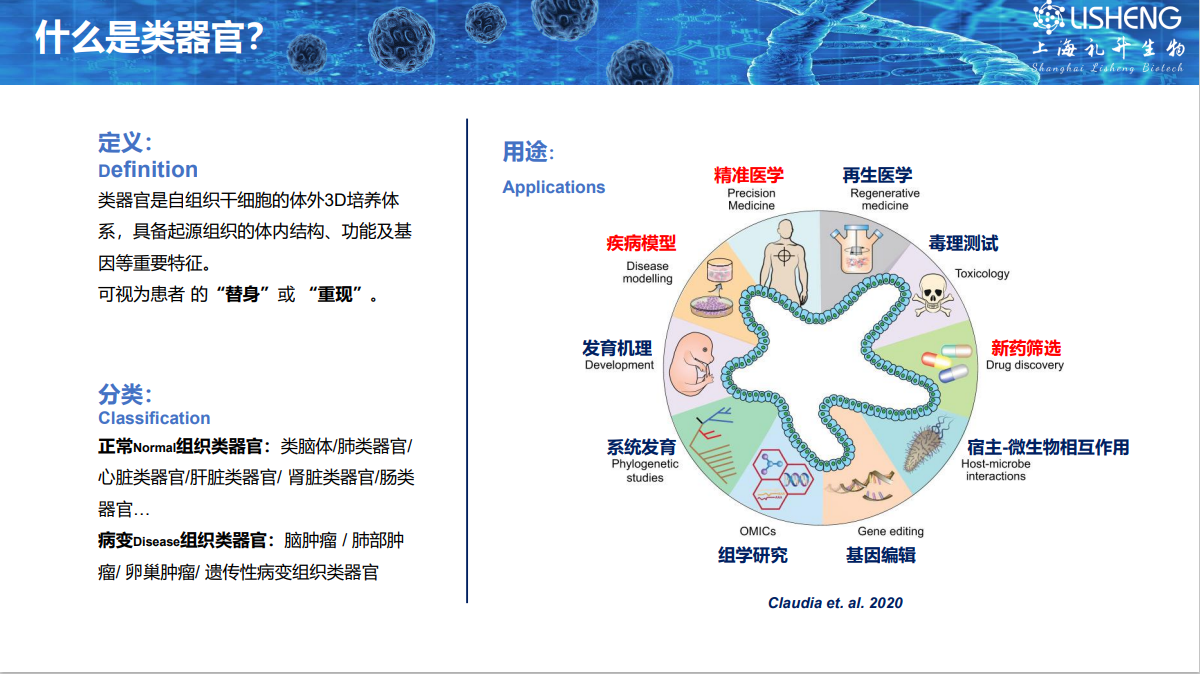图片 9.png