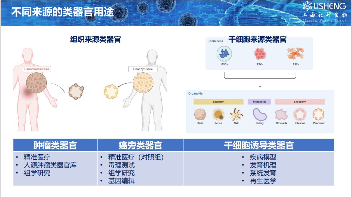 图片 12.png