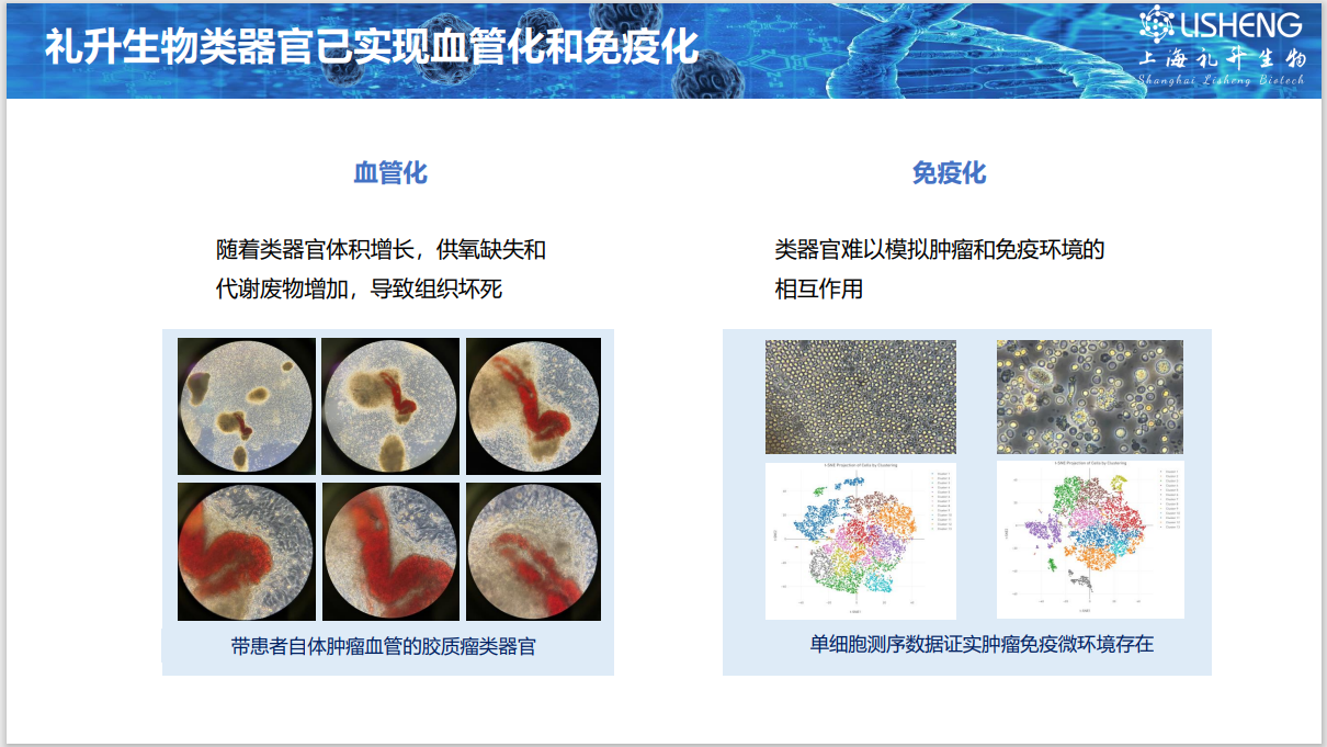 图片 17.png