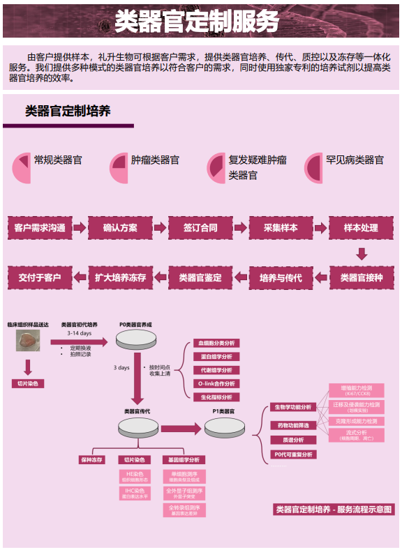 图片 19.png