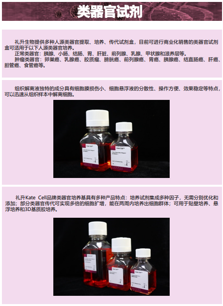 图片 20.png