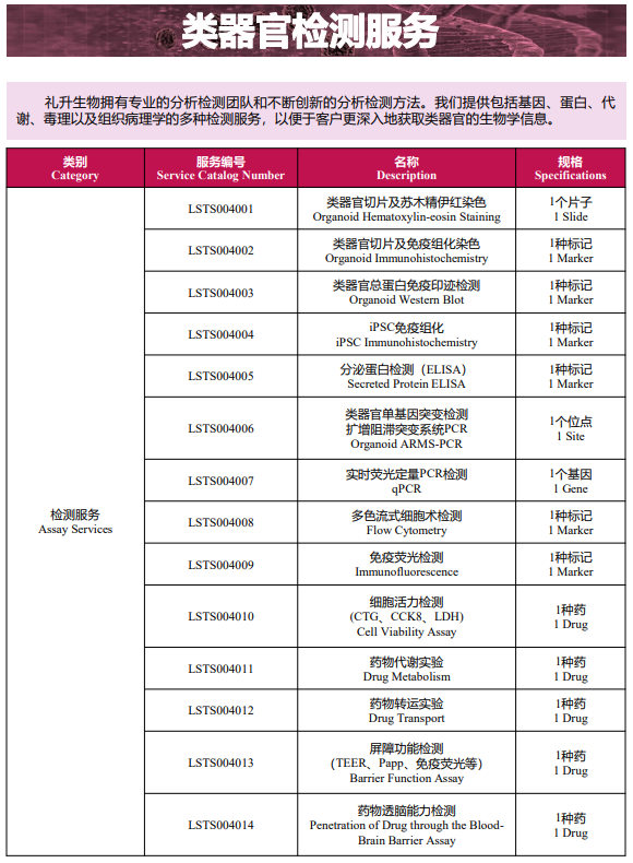 图片 28.png